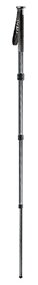 Gitzo GM2540 Mountaineer Monopod 